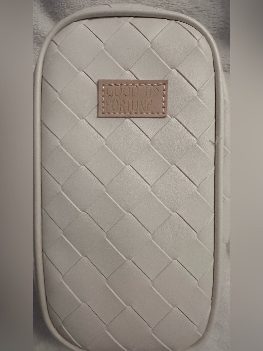 Good Fortune Woven Stationary Bag in Light Beige